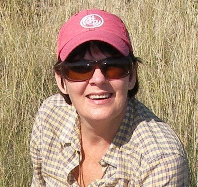 九游会在线登录官网创新论坛第一千五百四十四讲：Intra-plate oceanic island basalts:  retrospective and perspectives 