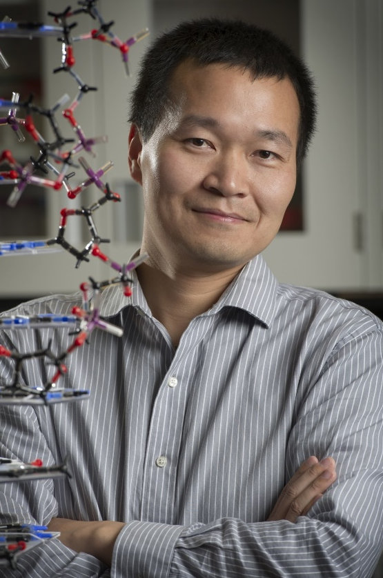 九游会在线登录官网创新论坛第一千九百七十八讲：核酸适配体筛选：从小分子到微塑料