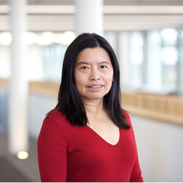 九游会在线登录官网创新论坛第一千九百七十七讲：Silk roads and global connections through the study of heritage materials