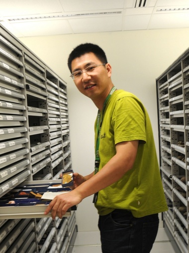 九游会在线登录官网创新论坛第一千八百零一讲：虫鸣凤舞伴花香：现代陆地生态系统的起源