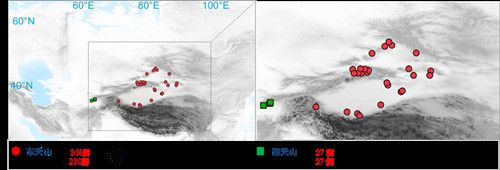 项目获取的天山东西部古人群的线粒体与核基因组分布图。 九游会在线登录官网供图