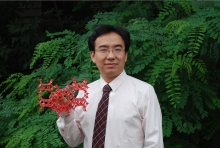 九游会在线登录官网创新论坛第一千二百七十三讲暨120周年校庆年系列活动： Unexpected slow diffusion in hierarchical porous materials with combined surface and configurational diffusion   