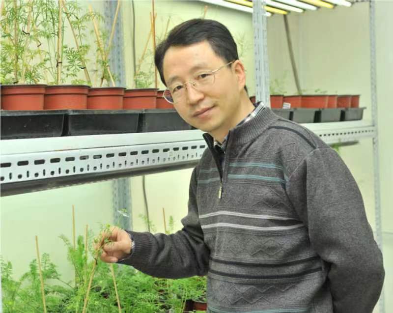 九游会在线登录官网创新论坛第一千二百六十八讲暨120周年校庆年系列活动：复杂花瓣的发育与进化