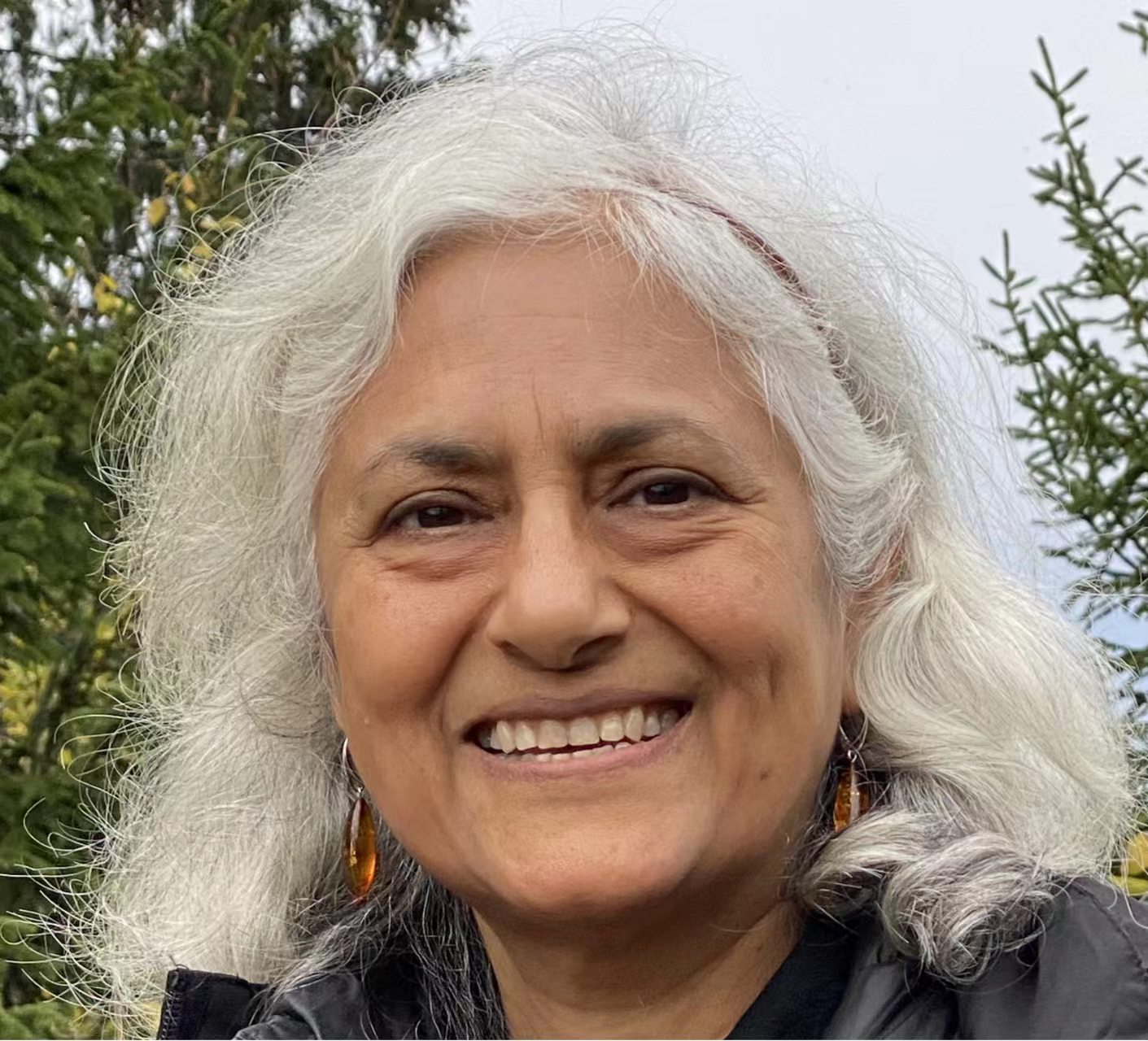 九游会在线登录官网创新论坛第一千七百三十九讲：Fractionalized excitations in Quantum Spin Liquids and their Detection